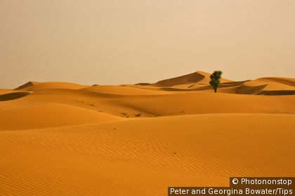 Emirtas Arbes Unis, Dubai. dunes de sable