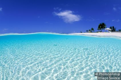 Over/under in shallow water.