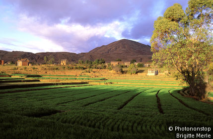 Madagascar, Betafo, riziËres verdoyantes au 1er plan, village et montagne au fond, nuages