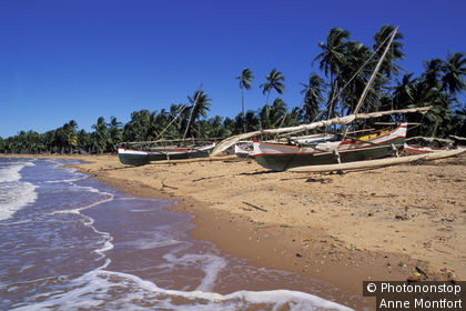 MADAGASCAR, PLAGE DE KATSEPY, PIROGUES SUR PLAGE, PALMIERS, CIEL BLEU
