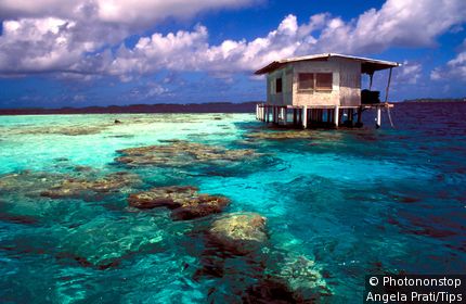 French Polynesia, Manihi Lagoon, Pearls Cultivation