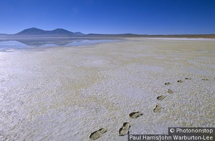 Chile, Region I, Pica. Salar de Huasco, a saltpan near the village of Pica, Northern Chile