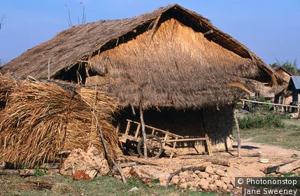 Thatch house. Muang Sing, Luang Nam Tha, Laos