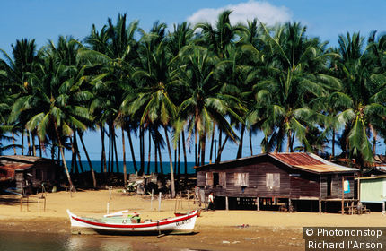 Boats and the kampung ( village ) - Marang, Terengganu