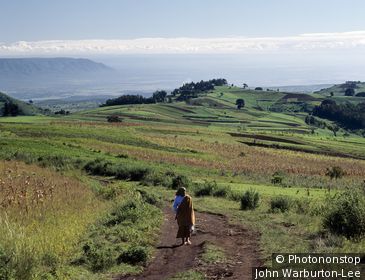 Tanzania;Mbeya - In the early morning, a woman walks along a track in the fertile Southern Highlands region of Tanzania