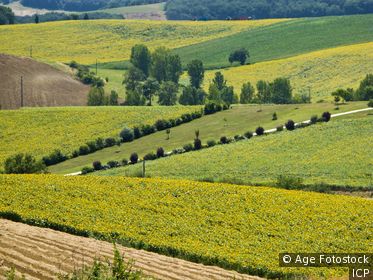 Montpezat-de-Quercy