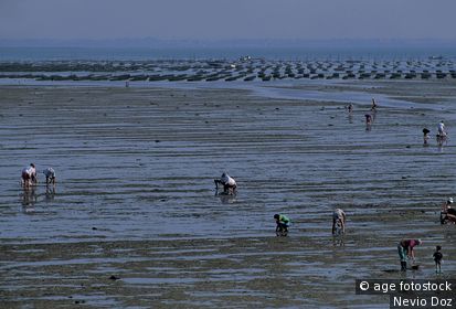 Île de Noirmoutier