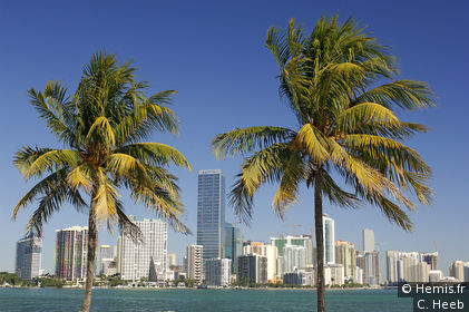 Miami