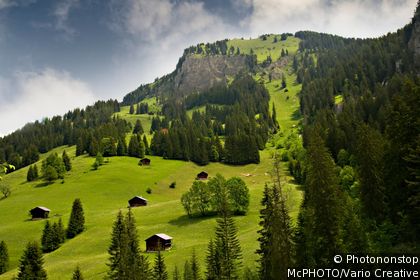 Bernese Oberland
