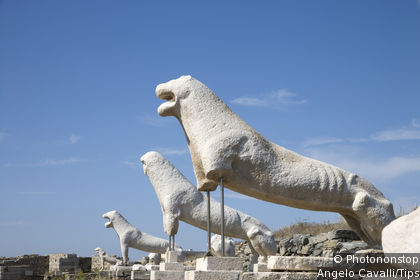 Terrace of the Lions