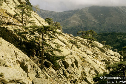 Haute Corniche du Golo