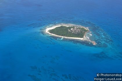 Insel Cousin