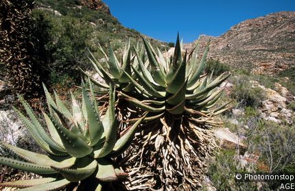 Swartberg Pass