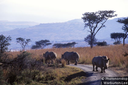 Spioenkop Nature Reserve