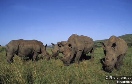 Hluhluwe-Imfolozi Game Reserve