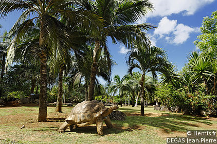 Mascareignes Reserve