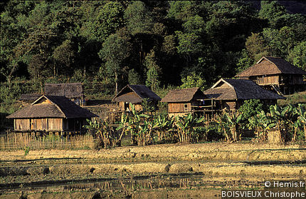 Black Thai villages