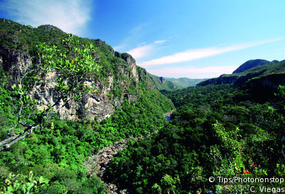Chapada dos Veadeiros National Park