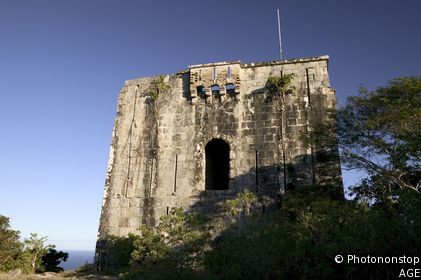 Le Chameau