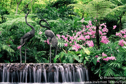 Singapore Botanic Gardens