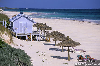 Pink Sands Beach
