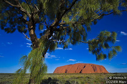 Uluru-Kata Tjuta National Park