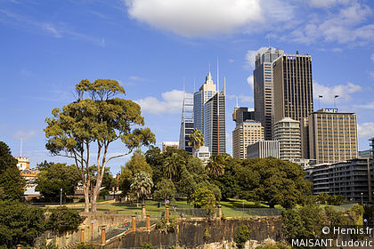 Sydney Royal Botanic Gardens