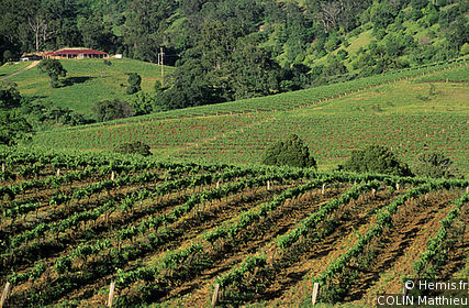 Hunter Valley