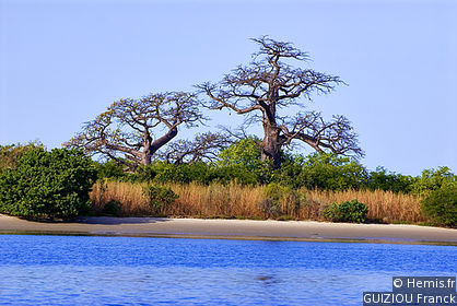 Saloum Delta National Park