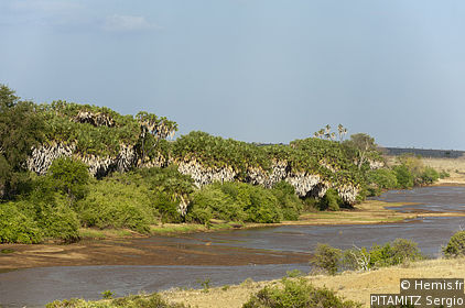 Tsavo National Park