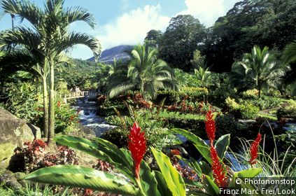 Parque Nacional Volcán Arenal