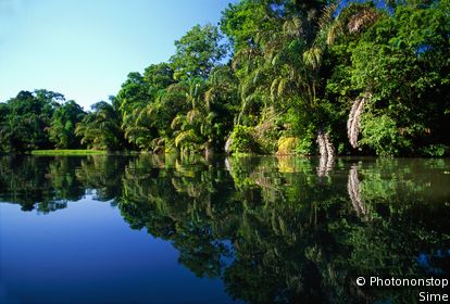 Parque Nacional Tortuguero