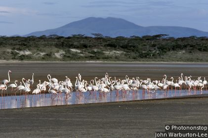 Ngorongoro Conservation Area