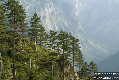 Durmitor National Park
