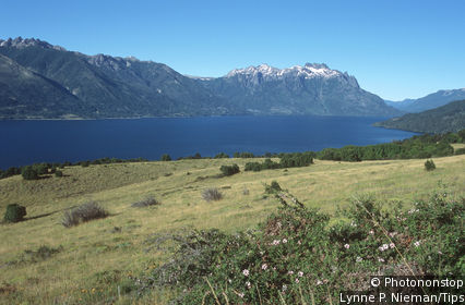 Parque Nacional Lanín
