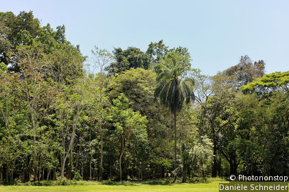 Quiriguá