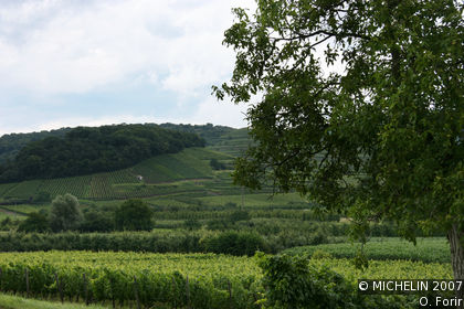 Kaiserstuhl