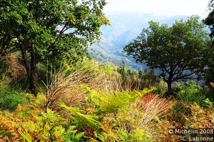 Panoramic views of Aspromonte