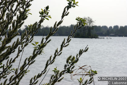 Reeuwijkse Plassen (Reeuwijk lakes)