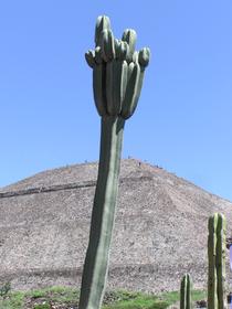 Mexique , Teotihuacan , pyramides