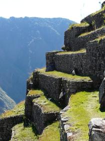 Secteur agricole de Machu Picchu