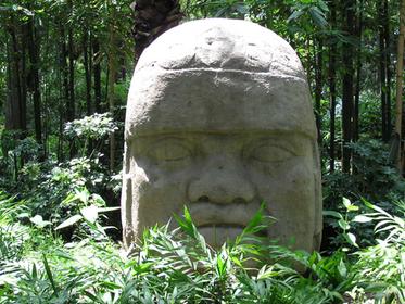 Tête olmèque dans les jardins du musée