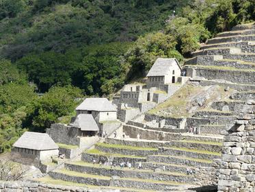 Secteur agricole de Machu Picchu