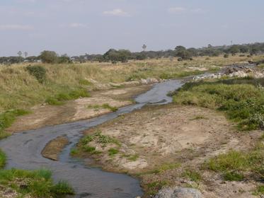 Tarangire National Park