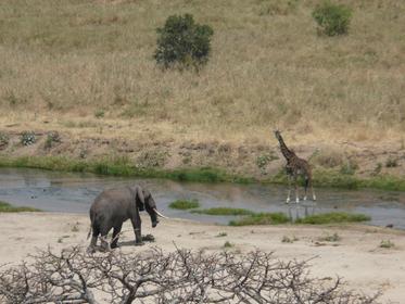 Tarangire National Park