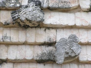le quadrilatère des oiseaux