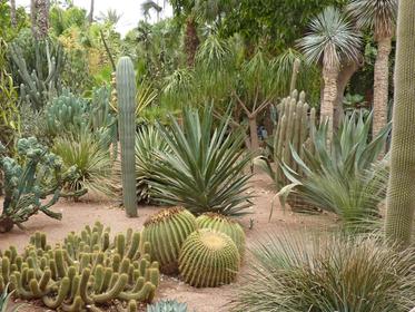 jardins majorelle