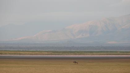 Lake Manyara National Park
