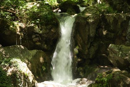 Tara River Canyon