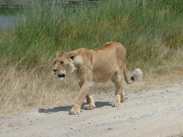 Serengeti National Park